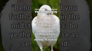 Powerful Bible Verse of the Day 240924  Inspiration from the KJV [upl. by Templa980]