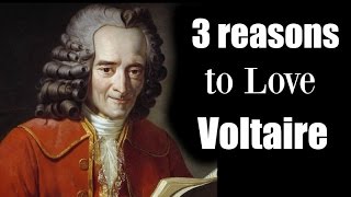 3 Reasons to Love Voltaire [upl. by Harned596]