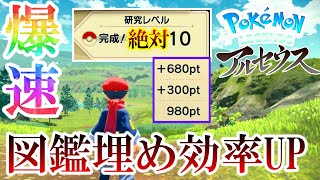 【ポケモンアルセウス】図鑑埋め効率up！理解するだけで攻略が楽になる仕様解説。 [upl. by Andel]