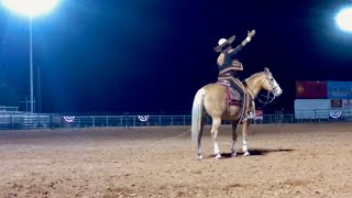 Bull Riding Pecos Tx [upl. by Orfurd]