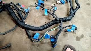 Budget LS Swap standalone wiring harness part 1 [upl. by Gottlieb378]