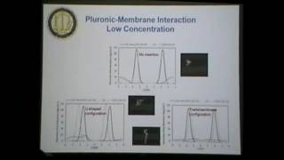 Modeling interactions of pluronics with lipid bilayers  Roland Faller [upl. by Esnohpla]