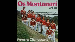 Morena de 15 anos  OS MONTANARI VOL 18 1982 FARRA NA CHURRASCARIA [upl. by Eramal]