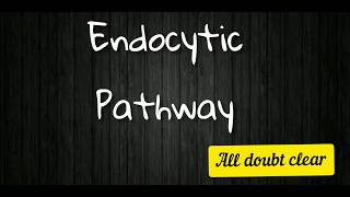 Endocytic pathway [upl. by Misab300]