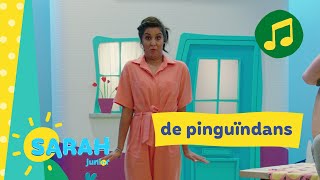 de pinguÃ¯ndans  Sarah zingt  Ketnet Junior [upl. by Yroj]