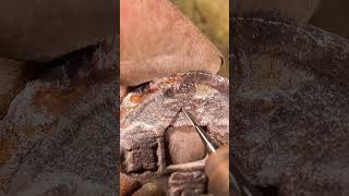 Restoring a Rusted Relic The Revival of an Ancient Coin viralvideo old watch coin [upl. by Ailisec613]