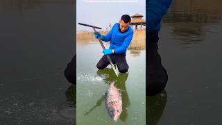 fishing icefish fish carpfishing [upl. by Dulcle]