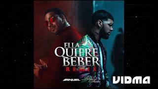 Ella Quiere Beber Remix by Romeo Santos ft Anuel rap song spanish [upl. by Yeltrab]