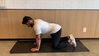 Fire Hydrant Exercise Glute Medius Muscle [upl. by Tutankhamen]