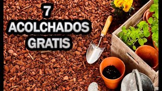 7 Formas De ACOLCHAR De Forma NATURAL Y GRATIS El Huerto  La Huertina De Toni [upl. by Emina]