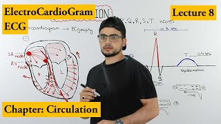 ECG Electrocardiogram fully explained  Chapter circulation  Video 8 [upl. by Elletnahc]