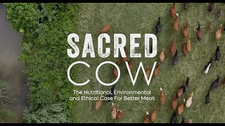 Sacred Cow Film  Official Version [upl. by Mccallion]