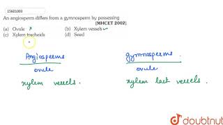 An angiosperm differs from a gymnosperm by possessing [upl. by Wagstaff]