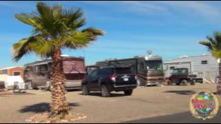 Mountain Quail Cafe and RV Park Quartzsite AZ [upl. by Hsiekal]