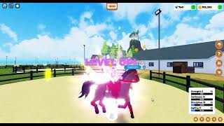 Roblox Horse Valley 2 NEW CAMARILLO HORSE amp how to get [upl. by Helve]