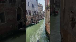 Gondolas 🚣‍♀️ in Venice [upl. by Eaj]