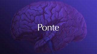 Neuroanatomia  Ponte [upl. by Lilithe]