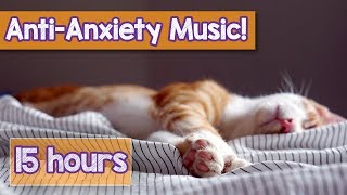 Calming Music for Cats with Anxiety Deep Soothing Music for Anxious ill and Stressed Cats 2018 [upl. by Eelynnhoj111]