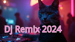 Dj Remix 2024 [upl. by Notlew]