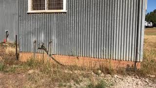 Narrandera Showground Camping Narrandera NSW [upl. by Silvers]