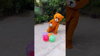 Teddy popping balloons shorts balloon balloonpop [upl. by Flemming247]