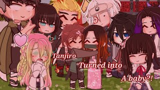 If Tanjiro turned into a baby  Gacha Club  Muitan [upl. by Sikata]