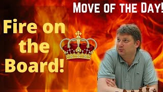 Fire On The Board  Gelfand vs Shirov 2007  Shirovs Incredibly Beautiful Queen Sacrifice [upl. by Limaa]