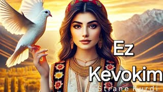 zo mex  Ez Kevokim Le Remex  Kurdish music  Tiktokremix [upl. by Katee236]