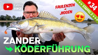 Köderführung zum Zanderangeln mit Gummifisch 🔥🎣👍🏼 [upl. by Piggy]