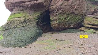 20240828 Hopewell Rocks Hopewell Cape Fundy Bay Giant tides [upl. by Ramad]