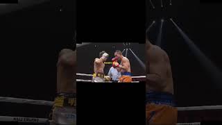 Naoya Inoue Vs Nonito Donaire Highlights [upl. by Tulley929]