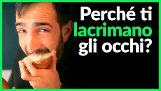 Perché la cipolla ci fa piangere [upl. by Lal]