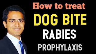 Dog Bite Rabies Virus Emergency Treatment Rabies SymptomsPostExposure Prophylaxis Vaccine USMLE [upl. by Nahtan380]