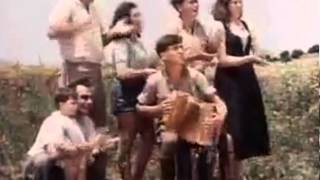 Hava Nagila  Famous Israeli jewish folk song  authentic dance [upl. by Broder]