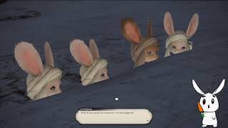 FFXIV Endwalker  Loporrit Ears  Stream Footage [upl. by Borlow574]