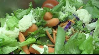 Frenchtown school garden provides fresh vegetables for students [upl. by Tess]