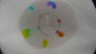 Chromatography Highlighter in Water [upl. by Nisior]