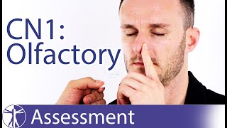 Cranial Nerve 1  Olfactory Nerve Assessment for Physiotherapists [upl. by Maggie]