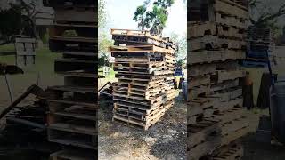 Subscribe that have about 500 pallets give this video likes 170k [upl. by Kalikow]