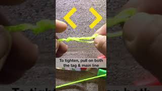 Learn this one fishing knot fishing fish fishingequipment knots fishingknots shorts [upl. by Ednalrym]