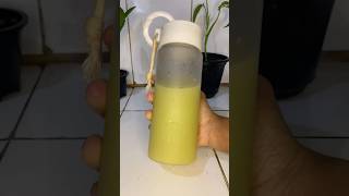 Morning Ginger Shot Recipe For acne srilanka acne gingershot skincare pimple skincaretips [upl. by Dajma752]