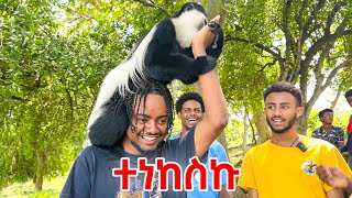 አሞራ ገደል ጉሬዛ አበላን🇪🇹 Hawassa Vlog [upl. by Woodsum]