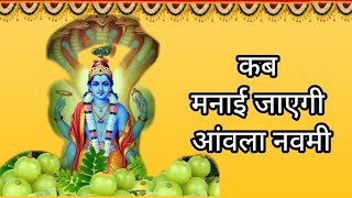 Amla Navmi 2024  Akshay navmi  कब मनाई जाएगी आमला नवमी [upl. by Arramahs]