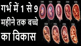 Birthcycle babygrowth गर्भ में 1 से 9 महीने तक बच्चे का विकास Baby development in pregnancy [upl. by Ykcul791]