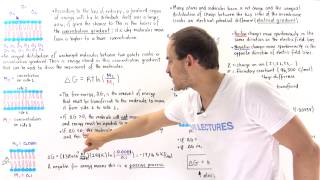 Measuring the Electrochemical Gradient [upl. by Bornie]