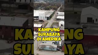 Kampung Surabaya Di Amerika [upl. by Aicinat778]