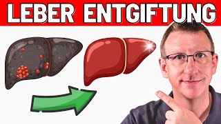 TOP 10 EntgiftungsTipps für Deine LEBER  Arzt erklärt [upl. by Leugim]