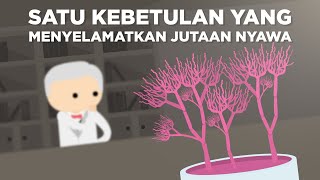 Satu Kebetulan yang Selamatkan Jutaan Nyawa [upl. by Sirronal]