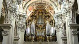 Toccata and Fugue in D Minor Best Version Ever [upl. by Assila]