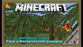 Dynamic Trees Pams Harvestcraft Compat Mod 1122 ampTutorial Downloading And Installing For Minecraft [upl. by Yentuoc]